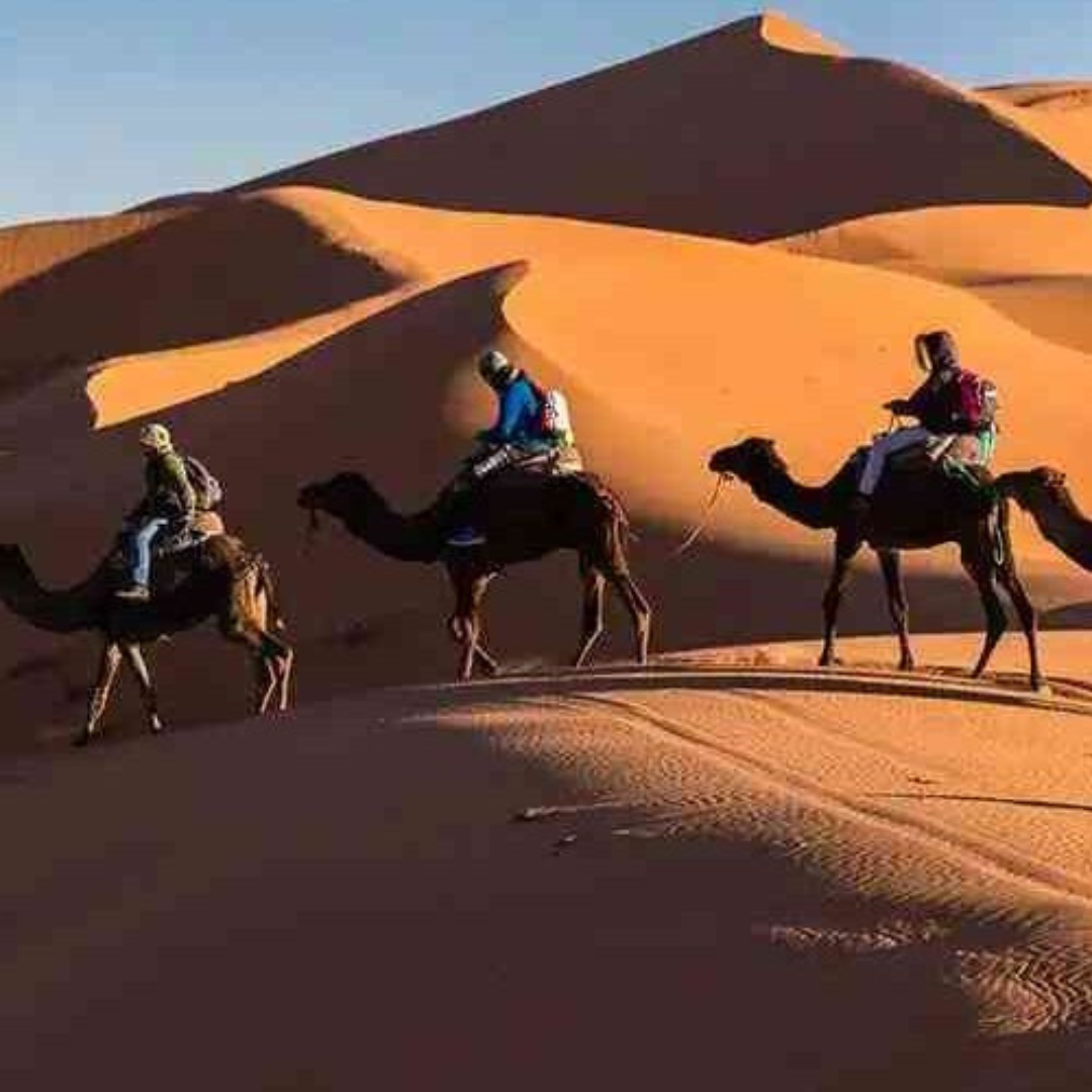 3 Days Chegaga Desert Trek