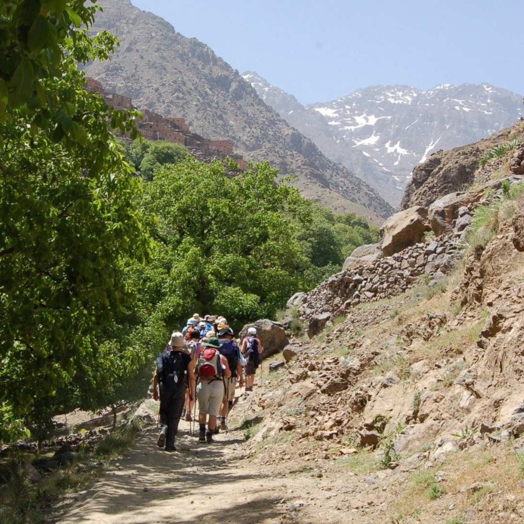 Taghia & Imsafran Gorges Trek